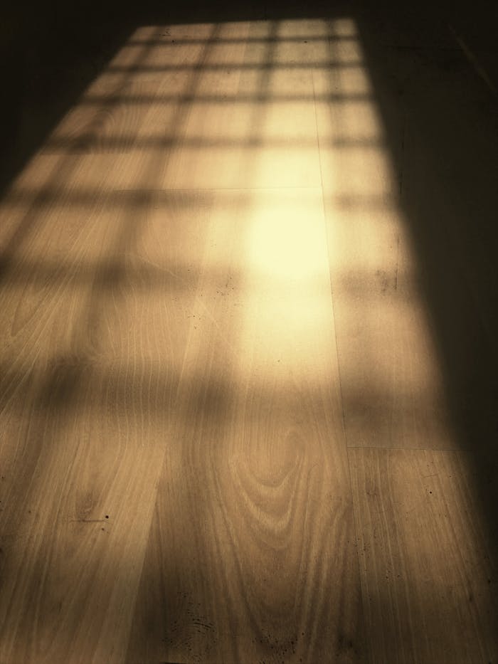 Warm sunlight creates soft shadows on a wooden floor, highlighting texture and natural beauty.